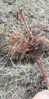 wx_camera_1576291541278.jpg.JPG