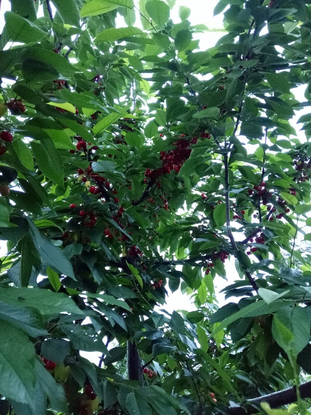 IMG20180505182544.jpg