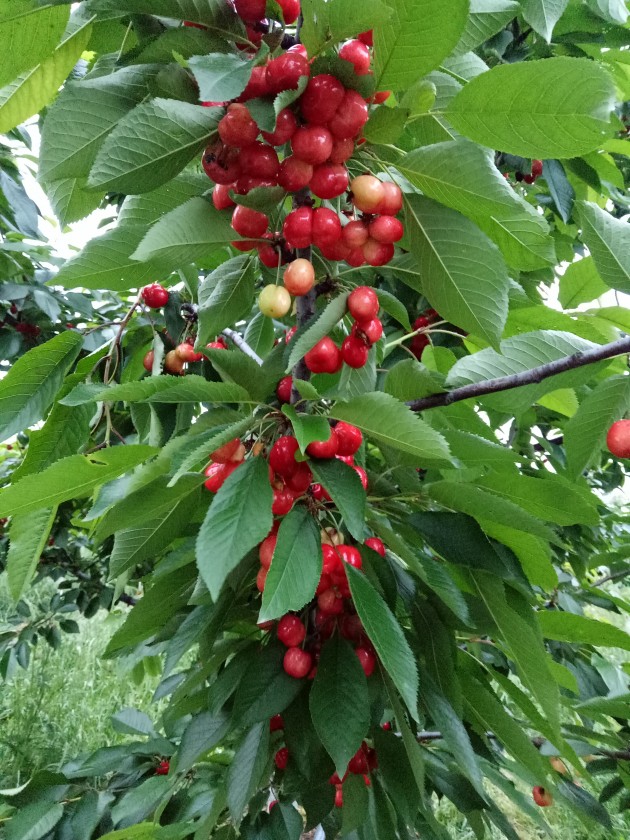 IMG20180505182129.jpg