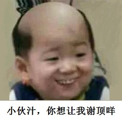 WREb-fypnsin8779890.jpg