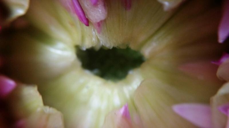 20200125_140733_resized.jpg