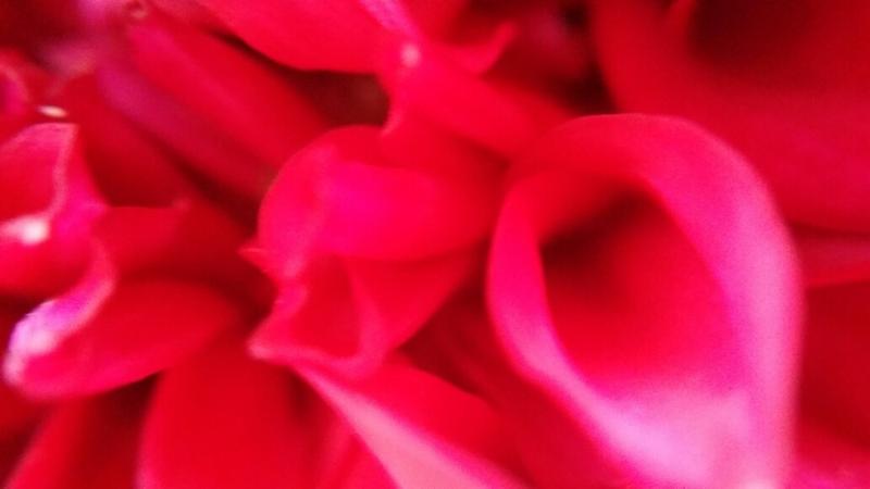 20200125_140837_resized.jpg