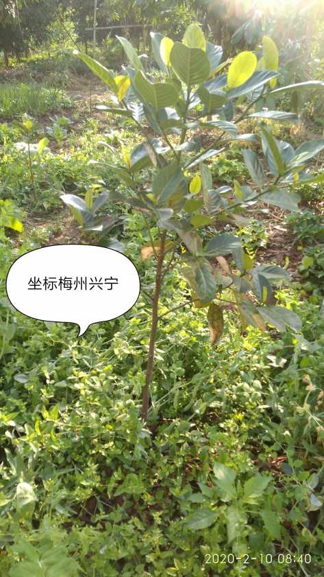 IMG_20200210_095703.jpg