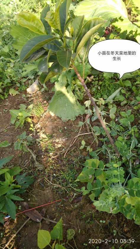 IMG_20200210_093136.jpg