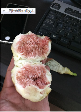 QQͼ20200214150613.png