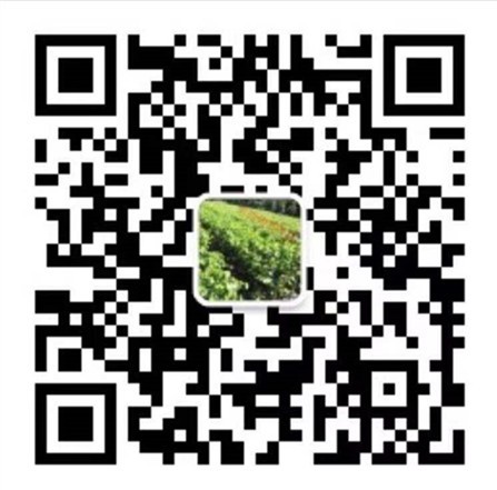 ʤѹ   磨һԪƴŻ325 :123457665 