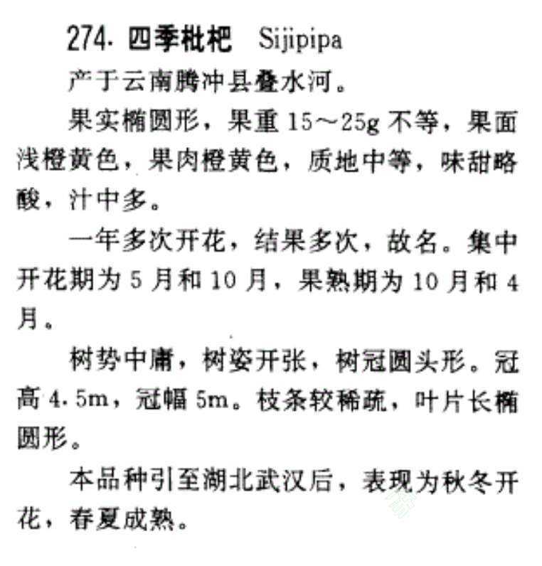 98c246d8-bb53-4de7-8b67-cdbcbfb34fb0.jpg