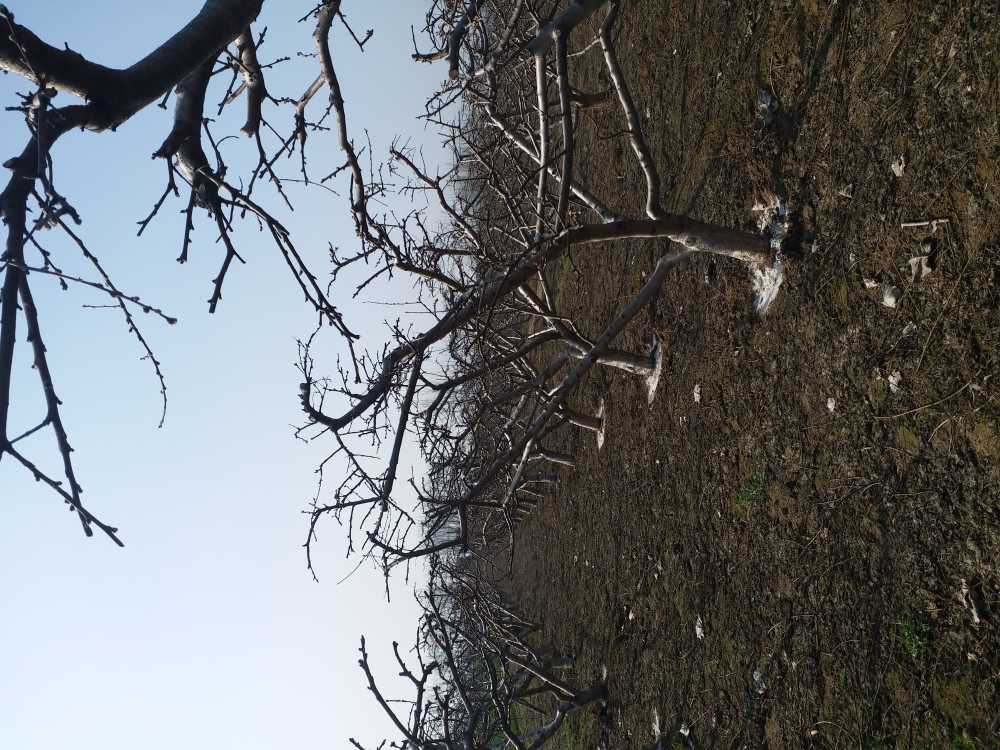 20200310_103839.jpg
