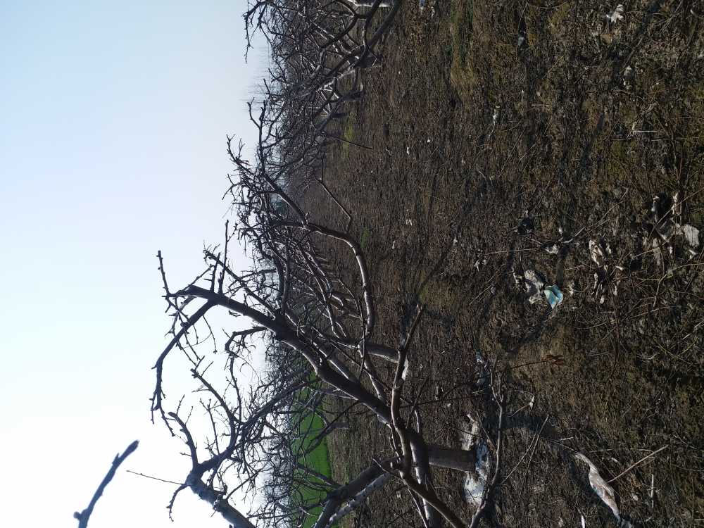 20200310_103903.jpg