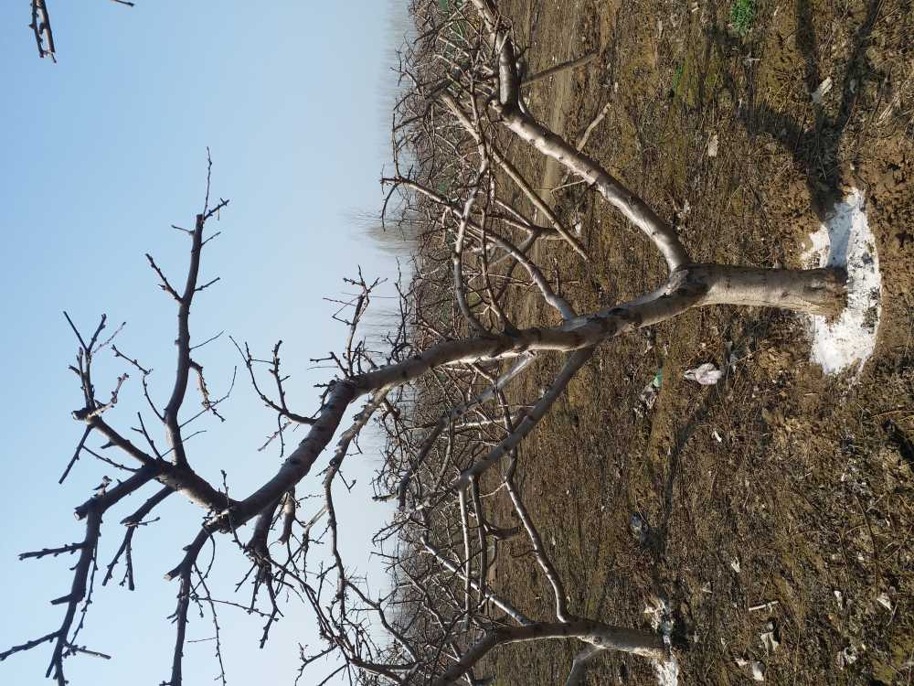 20200310_103848.jpg