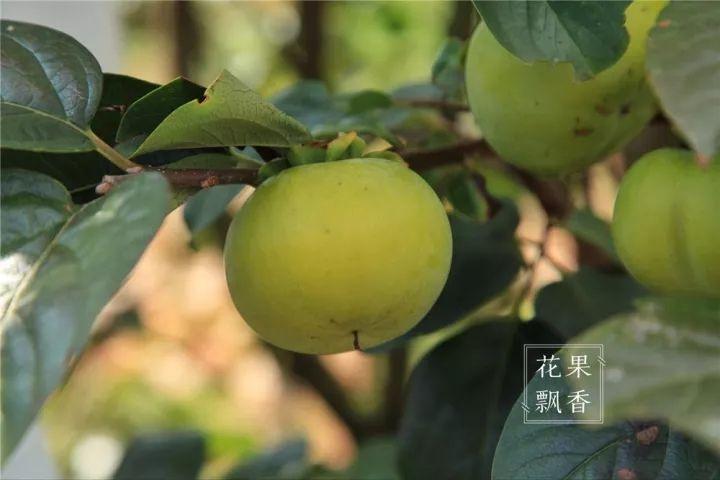 13.webp (1).jpg