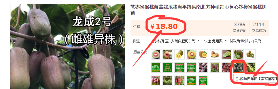 1M)UYK([}DKP18`~06GNT.png