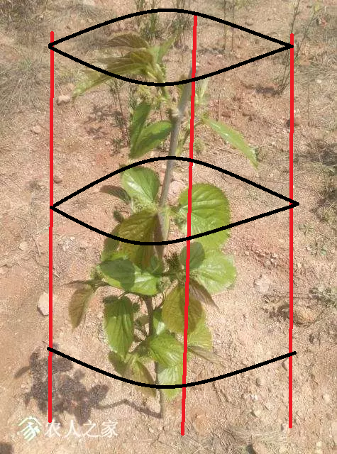 �½� JPG ͼƬ�ļ�.jpg