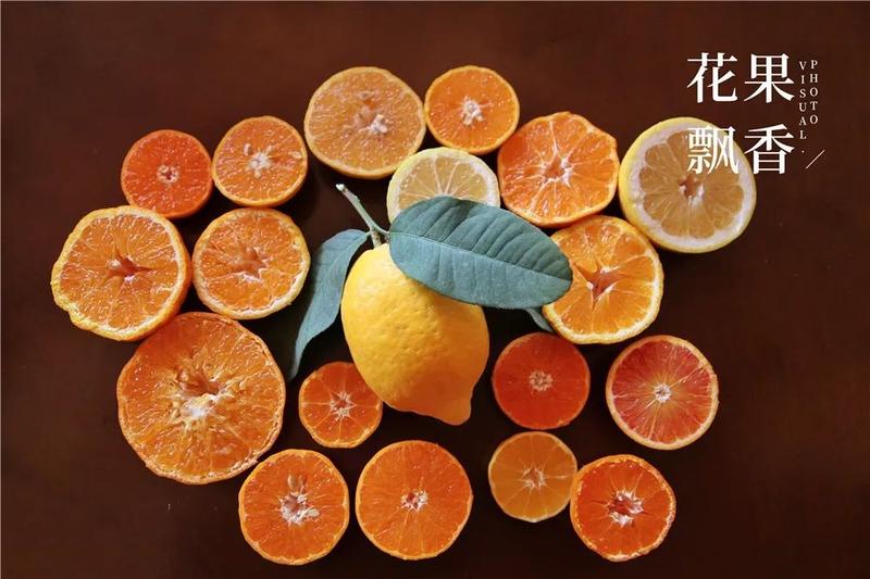 对来自日本的4个热门晚熟柑橘新品种的评价