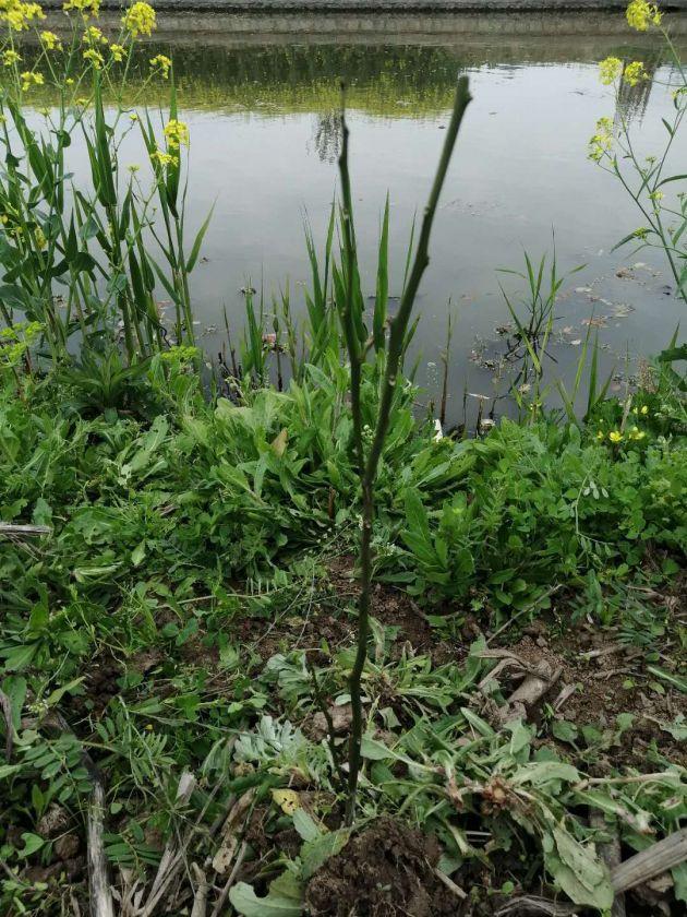 ΢��ͼƬ_20200325125633.jpg