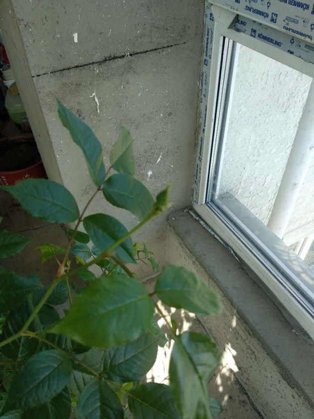 ΢��ͼƬ_20200327191049.jpg
