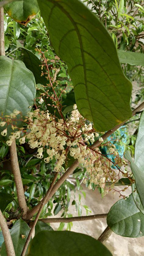 P00328-092931.jpg