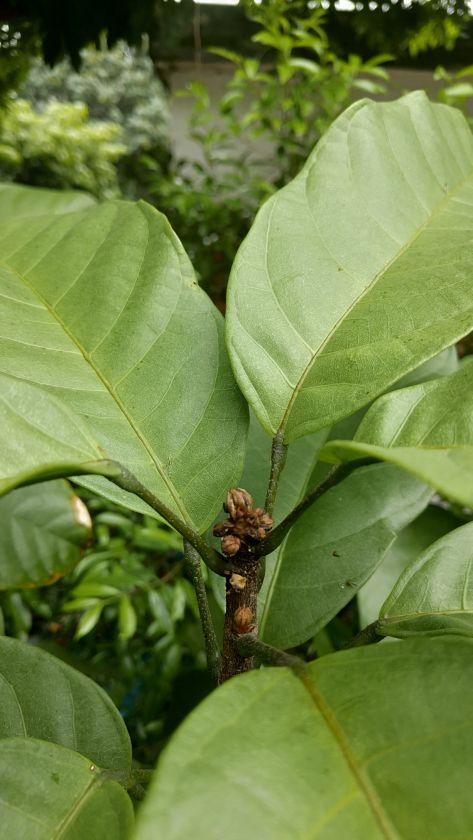 P00328-093023.jpg