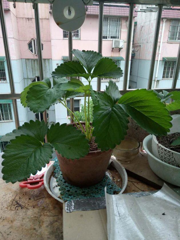 ΢��ͼƬ_20200401185637.jpg