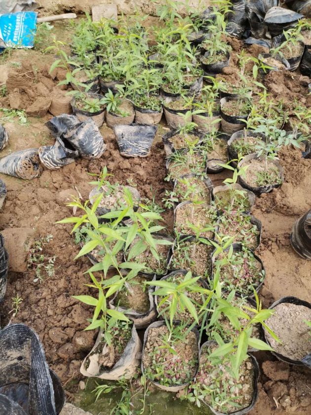 WeChat �DƬ_20200402174846.jpg