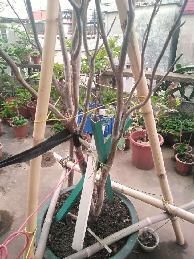 ΢��ͼƬ_20200407161704.jpg