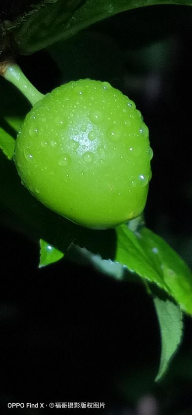 ΢ͼƬ_20200408144949.jpg