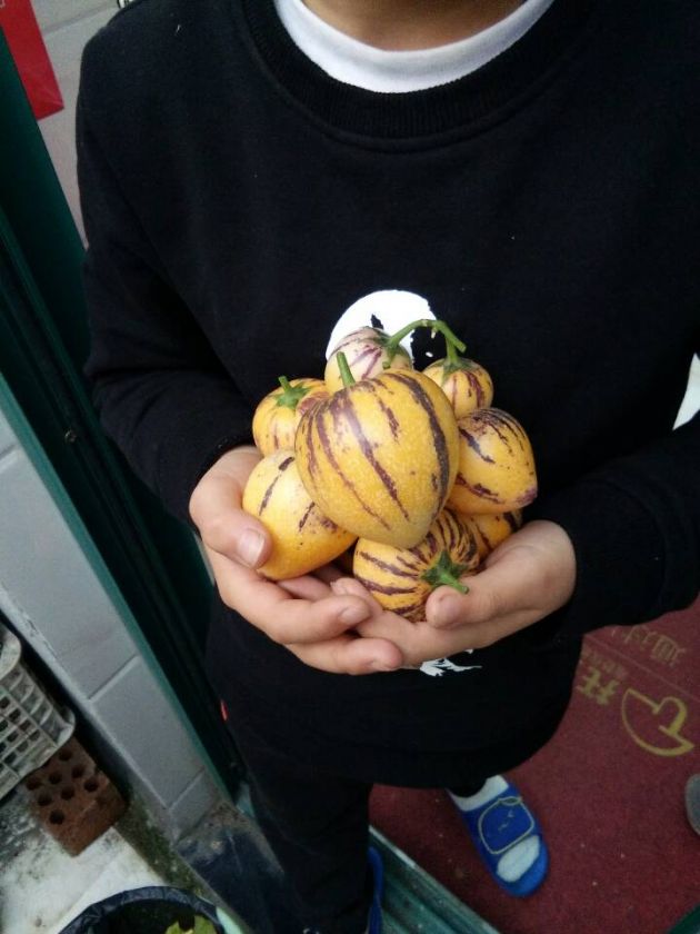 QQͼƬ20200410081842.jpg