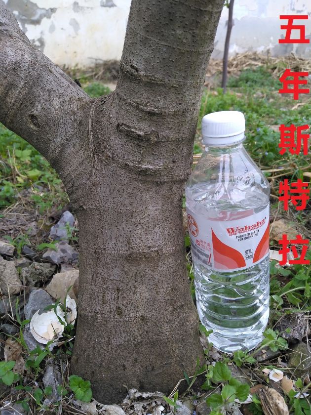 IMG_20200418_142047.jpg