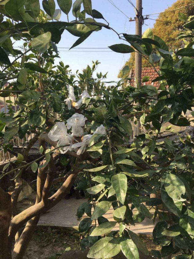 2020.7.jpg
