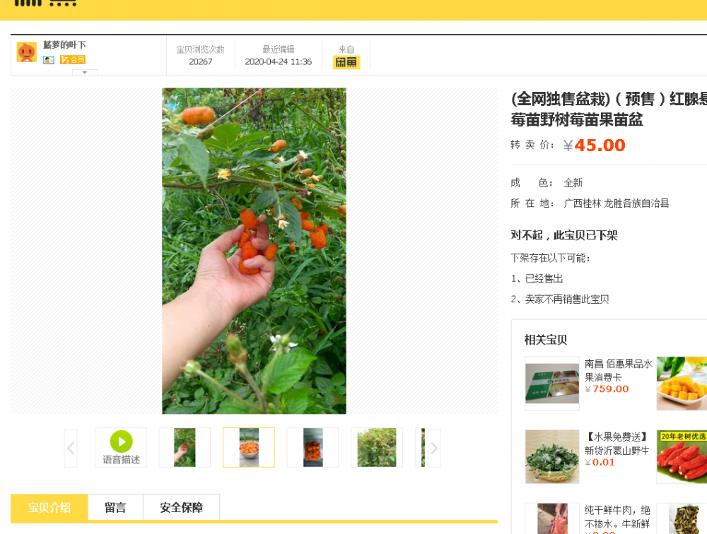 1588055727(1).png