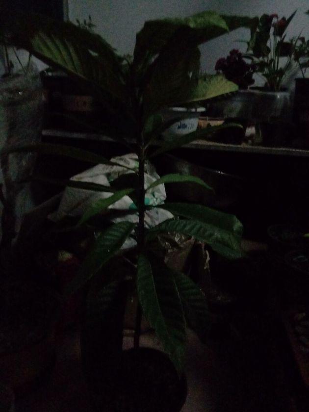 QQͼƬ20200507013708.jpg