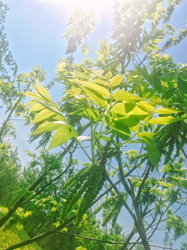 ΢ͼƬ_20200507173911.jpg