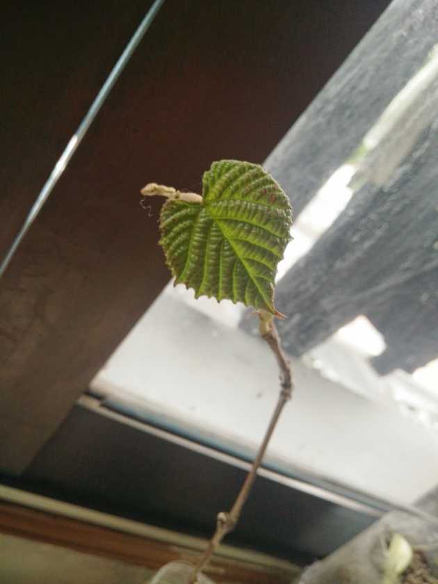 IMG20200510110830.jpg