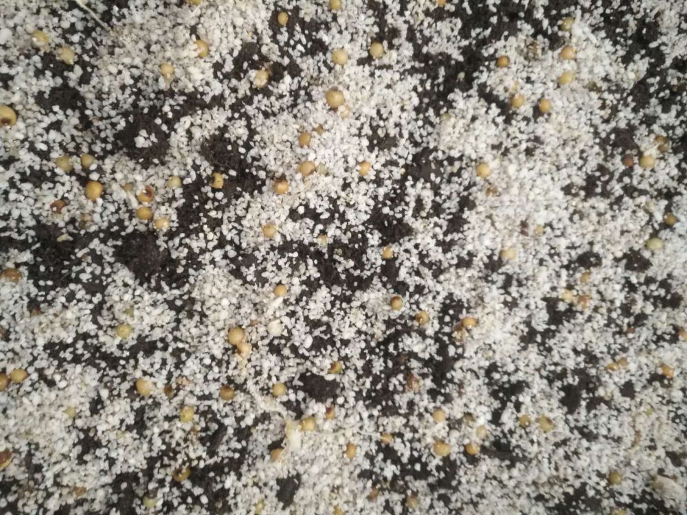 ΢ͼƬ_20200513163017.jpg