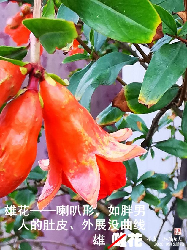C03.jpg