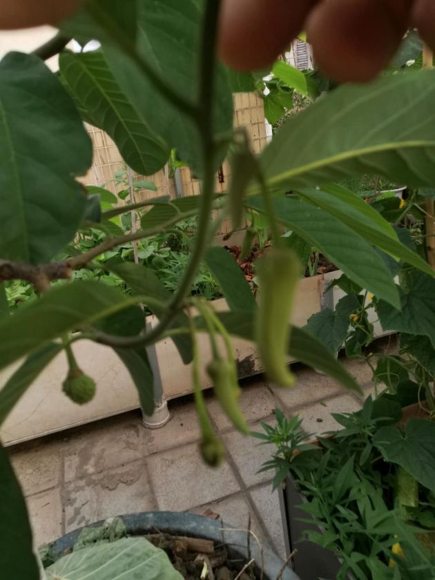 ΢ͼƬ_202005191413482.jpg