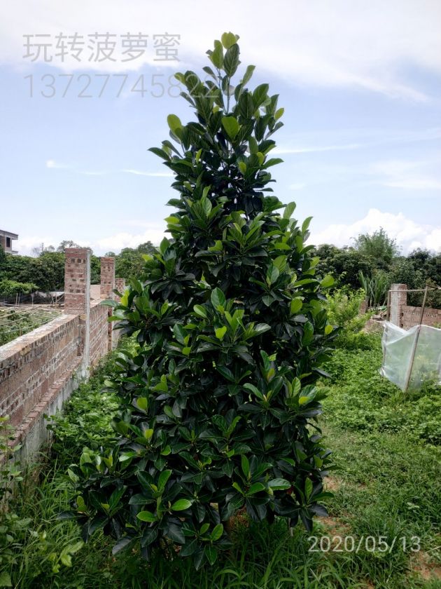 WaterMark_2020-05-29-21-04-48.jpg