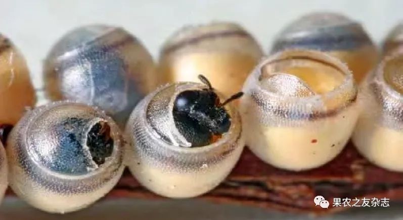 28.webp (1).jpg