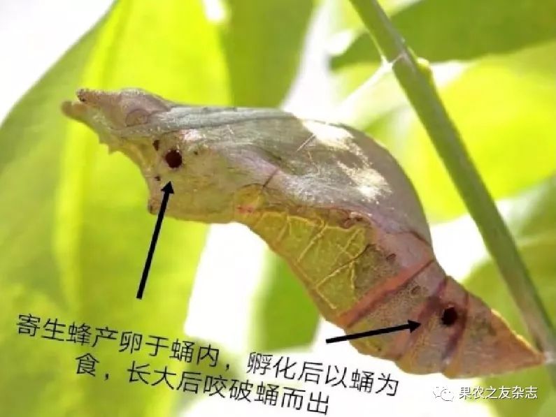 29.webp (1).jpg