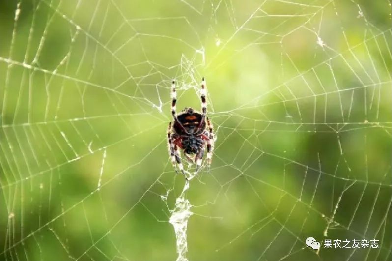 26.webp (1).jpg