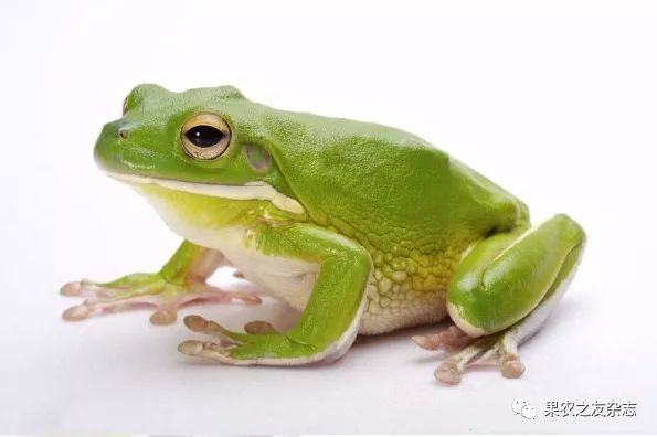 32.webp.jpg