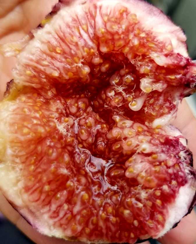 20190721_101729.jpg