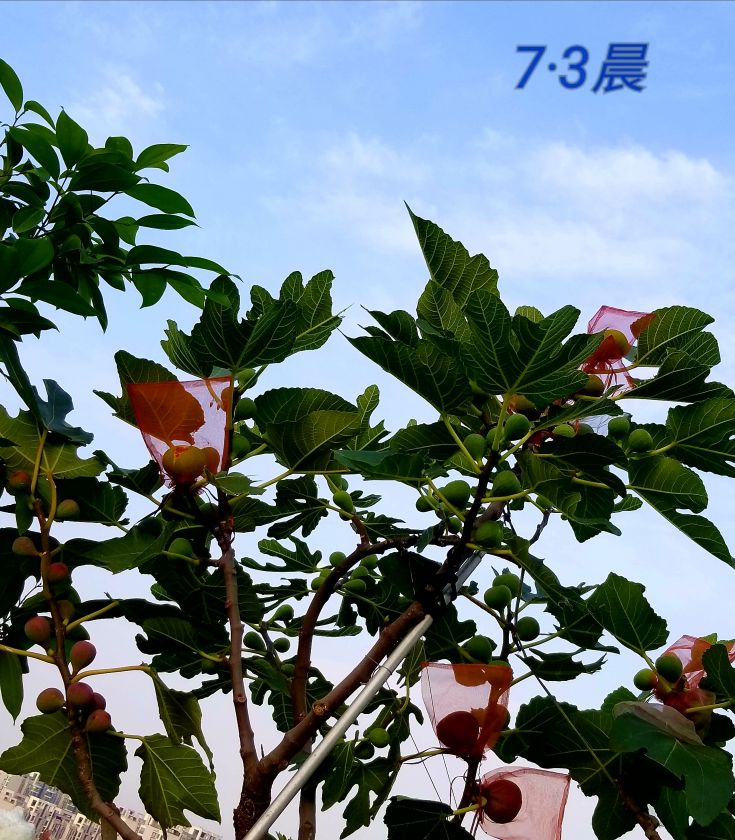 20200703_114122.jpg