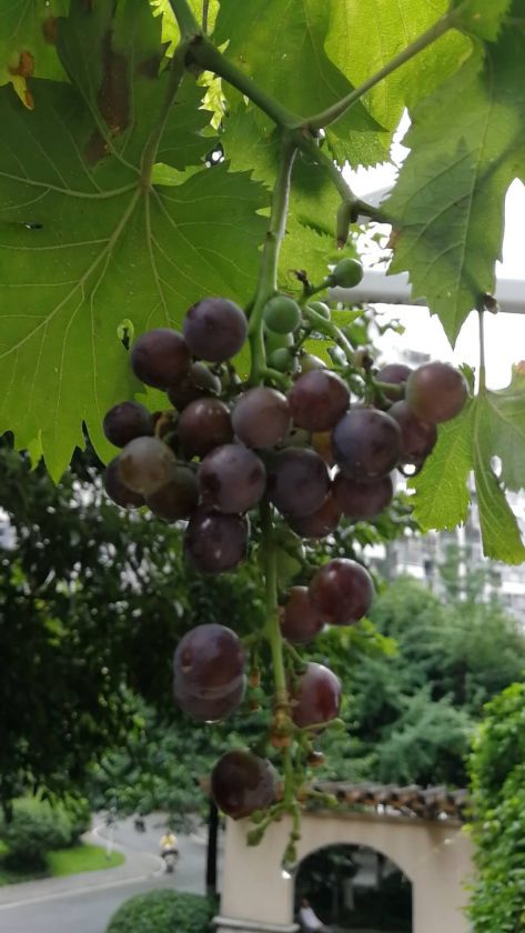 ΢ͼƬ_20200708110626.jpg