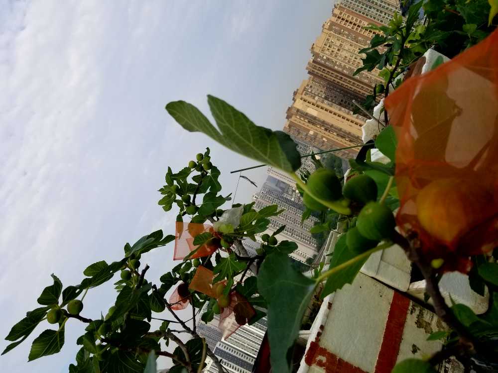 20200629_074637.jpg