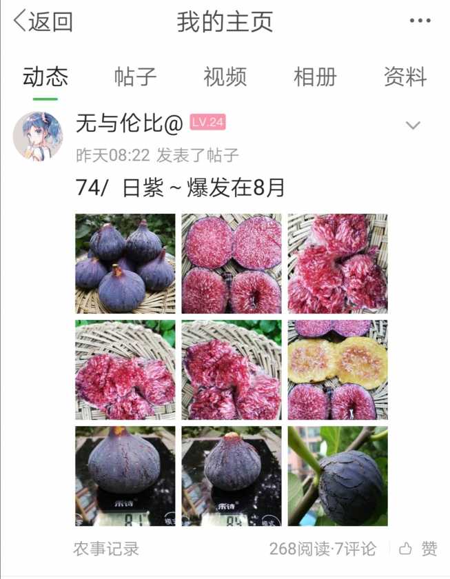 Screenshot_20200807_123014.jpg