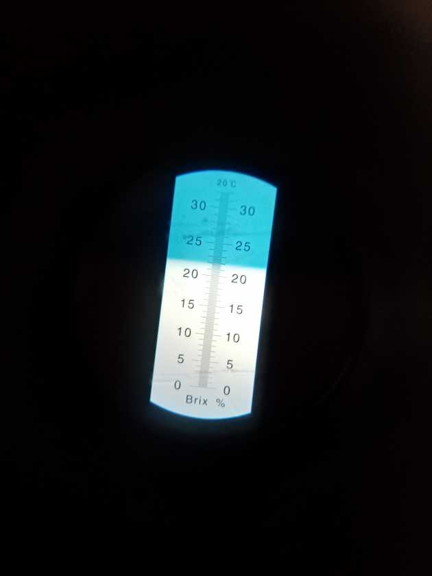 IMG_20200823_104952.jpg