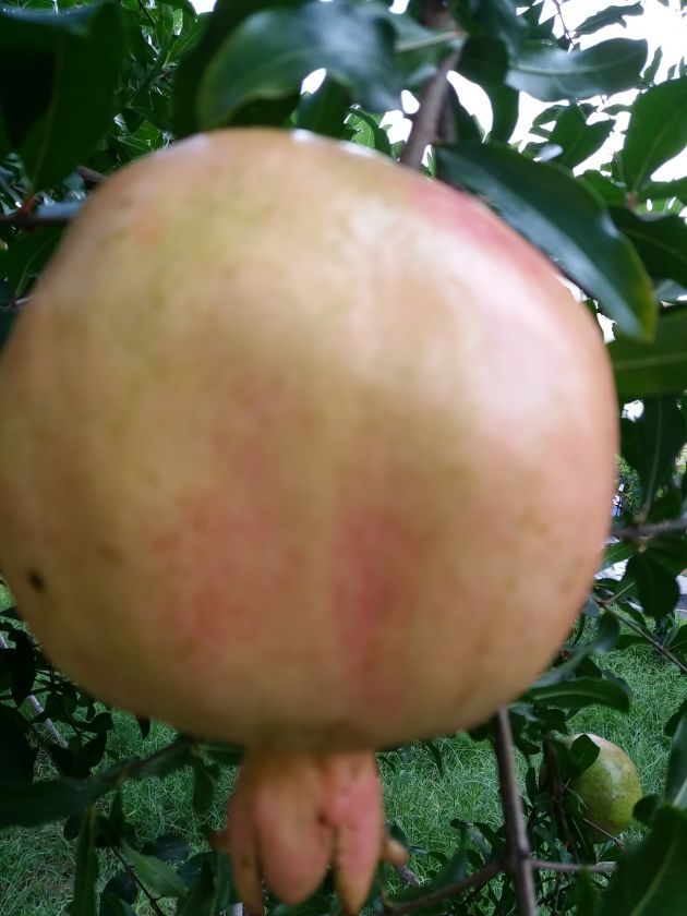 20200825_171346.jpg