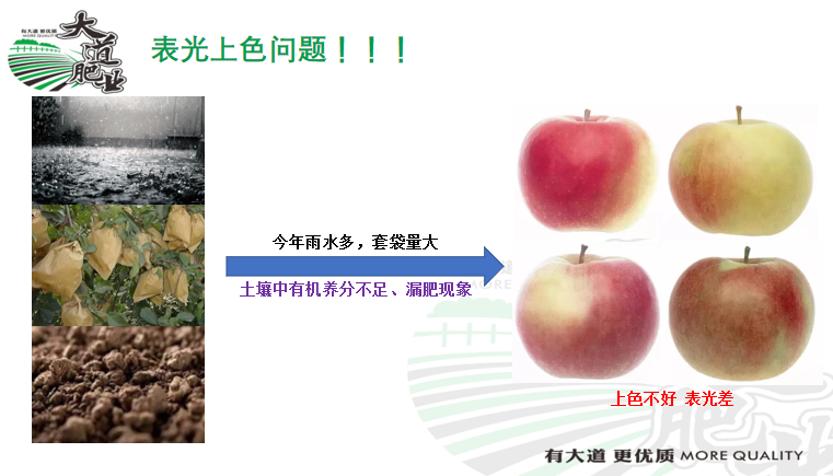 ΢�Ž�ͼ_20200826093831.png