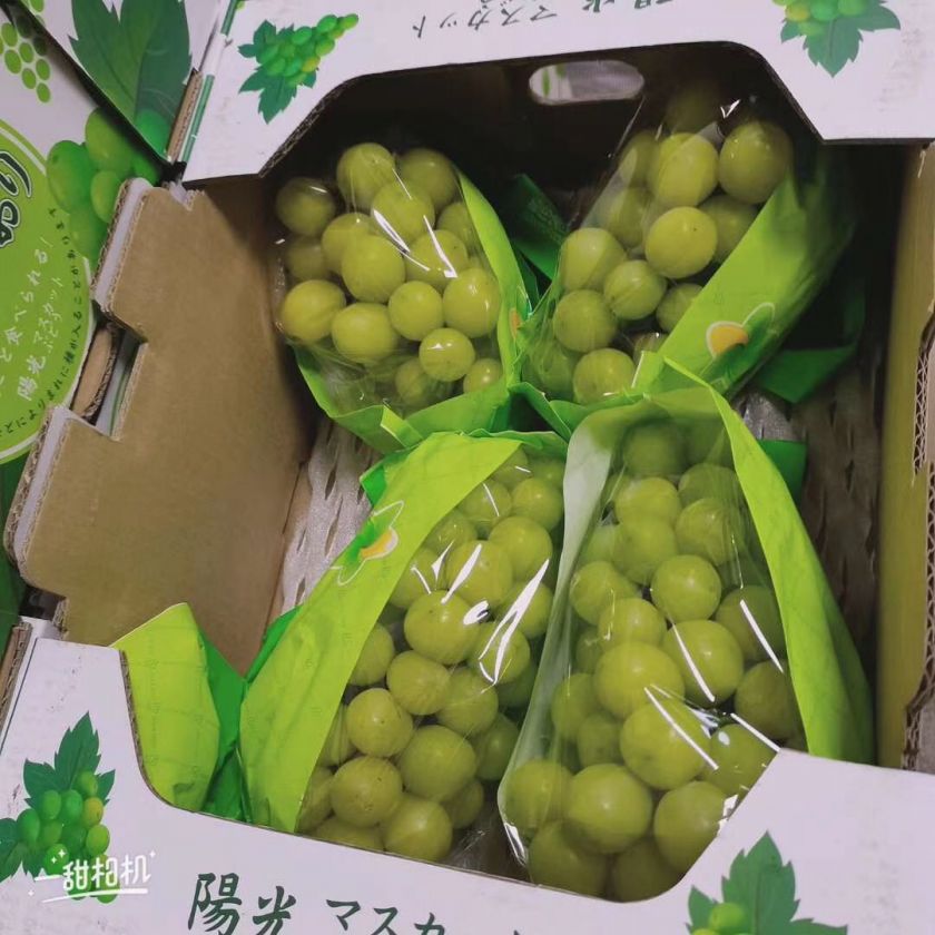 �㶫��ݸС����35һ�У�4��5��